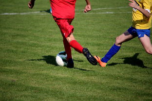 爱游戏app-世界青少年自行车赛中国骑手再创佳绩,2020全国青少年自行车锦标赛