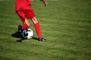 爱游戏官方-中国篮球教练员战术执行能力评估体系，中国篮球教练员培训等级