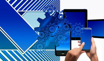 AYX SPORTS-中国篮球联赛品牌建设策略与粉丝经济发展路径,中国国内的篮球联赛简称