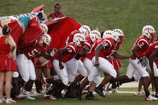 AIYOUXI.COM-中国足球锋线组合类型及适配性,中国足球锋线组合类型及适配性是什么